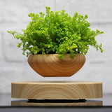 Levitating Indoor Plant Holder