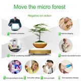 Levitating Indoor Plant Holder