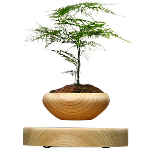 Levitating Indoor Plant Holder