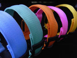 LED Illuminated Dog Collars - FREE + Shipping Offer