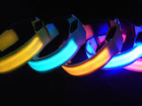 LED illuminated Dog Collars
