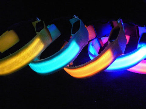 LED illuminated Dog Collars