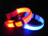 LED Illuminated Dog Collars - FREE + Shipping Offer