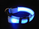 LED Illuminated Dog Collars - FREE + Shipping Offer