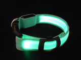 LED Illuminated Dog Collars - FREE + Shipping Offer