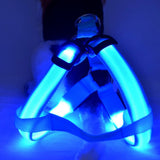 LED Dog Harness