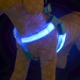 LED Dog Harness