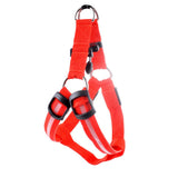 LED Dog Harness