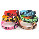 LED Dog Collar w/ Zebra Pattern