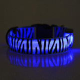 LED Dog Collar w/ Zebra Pattern