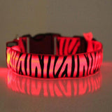 LED Dog Collar w/ Zebra Pattern
