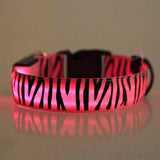 LED Dog Collar w/ Zebra Pattern