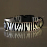 LED Dog Collar w/ Zebra Pattern
