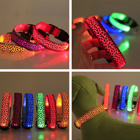 Leopard LED Safety Dog Collar