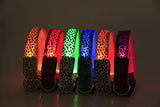 Leopard LED Safety Dog Collar