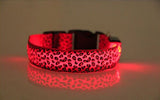 Leopard LED Safety Dog Collar