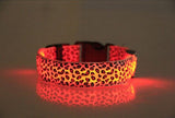 Leopard LED Safety Dog Collar