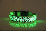 Leopard LED Safety Dog Collar