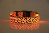 Leopard LED Safety Dog Collar