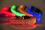 Leopard LED Safety Dog Collar